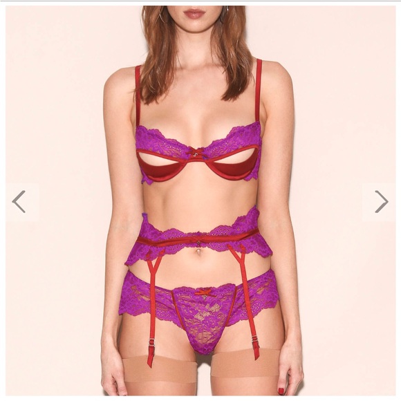 Fleur Du Mal Naomi Garter Belt in Vixen NWT size 2 small - Picture 5 of 7